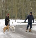 Huizen 11 januari 2026
Linda de Mol en haar partner Jeroen Rietbergen laten in een koud Huizen hun twee honden uit . Ze zijn beide warm aangekleed .