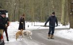 Huizen 11 januari 2026
Linda de Mol en haar partner Jeroen Rietbergen laten in een koud Huizen hun twee honden uit . Ze zijn beide warm aangekleed .