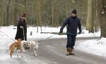 Huizen 11 januari 2026
Linda de Mol en haar partner Jeroen Rietbergen laten in een koud Huizen hun twee honden uit . Ze zijn beide warm aangekleed .