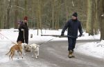 Huizen 11 januari 2026
Linda de Mol en haar partner Jeroen Rietbergen laten in een koud Huizen hun twee honden uit . Ze zijn beide warm aangekleed .