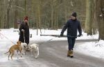 Huizen 11 januari 2026
Linda de Mol en haar partner Jeroen Rietbergen laten in een koud Huizen hun twee honden uit . Ze zijn beide warm aangekleed .