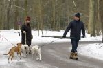 Huizen 11 januari 2026
Linda de Mol en haar partner Jeroen Rietbergen laten in een koud Huizen hun twee honden uit . Ze zijn beide warm aangekleed .