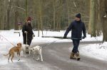 Huizen 11 januari 2026
Linda de Mol en haar partner Jeroen Rietbergen laten in een koud Huizen hun twee honden uit . Ze zijn beide warm aangekleed .