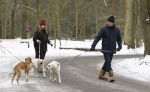 Huizen 11 januari 2026
Linda de Mol en haar partner Jeroen Rietbergen laten in een koud Huizen hun twee honden uit . Ze zijn beide warm aangekleed .