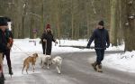 Huizen 11 januari 2026
Linda de Mol en haar partner Jeroen Rietbergen laten in een koud Huizen hun twee honden uit . Ze zijn beide warm aangekleed .