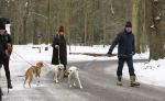 Huizen 11 januari 2026
Linda de Mol en haar partner Jeroen Rietbergen laten in een koud Huizen hun twee honden uit . Ze zijn beide warm aangekleed .