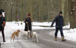 Huizen 11 januari 2026
Linda de Mol en haar partner Jeroen Rietbergen laten in een koud Huizen hun twee honden uit . Ze zijn beide warm aangekleed .