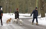 Huizen 11 januari 2026
Linda de Mol en haar partner Jeroen Rietbergen laten in een koud Huizen hun twee honden uit . Ze zijn beide warm aangekleed .