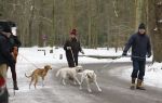 Huizen 11 januari 2026
Linda de Mol en haar partner Jeroen Rietbergen laten in een koud Huizen hun twee honden uit . Ze zijn beide warm aangekleed .