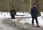 Huizen 11 januari 2026
Linda de Mol en haar partner Jeroen Rietbergen laten in een koud Huizen hun twee honden uit . Ze zijn beide warm aangekleed .