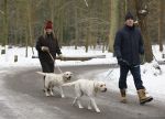 Huizen 11 januari 2026
Linda de Mol en haar partner Jeroen Rietbergen laten in een koud Huizen hun twee honden uit . Ze zijn beide warm aangekleed .