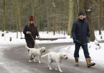 Huizen 11 januari 2026
Linda de Mol en haar partner Jeroen Rietbergen laten in een koud Huizen hun twee honden uit . Ze zijn beide warm aangekleed .