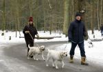 Huizen 11 januari 2026
Linda de Mol en haar partner Jeroen Rietbergen laten in een koud Huizen hun twee honden uit . Ze zijn beide warm aangekleed .