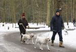 Huizen 11 januari 2026
Linda de Mol en haar partner Jeroen Rietbergen laten in een koud Huizen hun twee honden uit . Ze zijn beide warm aangekleed .