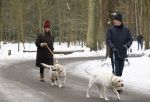 Huizen 11 januari 2026
Linda de Mol en haar partner Jeroen Rietbergen laten in een koud Huizen hun twee honden uit . Ze zijn beide warm aangekleed .