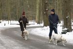 Huizen 11 januari 2026
Linda de Mol en haar partner Jeroen Rietbergen laten in een koud Huizen hun twee honden uit . Ze zijn beide warm aangekleed .