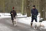 Huizen 11 januari 2026
Linda de Mol en haar partner Jeroen Rietbergen laten in een koud Huizen hun twee honden uit . Ze zijn beide warm aangekleed .