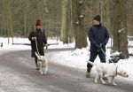 Huizen 11 januari 2026
Linda de Mol en haar partner Jeroen Rietbergen laten in een koud Huizen hun twee honden uit . Ze zijn beide warm aangekleed .