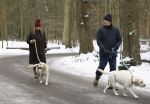 Huizen 11 januari 2026
Linda de Mol en haar partner Jeroen Rietbergen laten in een koud Huizen hun twee honden uit . Ze zijn beide warm aangekleed .