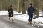 Huizen 11 januari 2026
Linda de Mol en haar partner Jeroen Rietbergen laten in een koud Huizen hun twee honden uit . Ze zijn beide warm aangekleed .