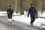 Huizen 11 januari 2026
Linda de Mol en haar partner Jeroen Rietbergen laten in een koud Huizen hun twee honden uit . Ze zijn beide warm aangekleed .