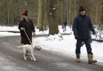 Huizen 11 januari 2026
Linda de Mol en haar partner Jeroen Rietbergen laten in een koud Huizen hun twee honden uit . Ze zijn beide warm aangekleed .