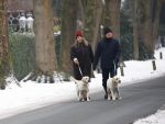 Huizen 11 januari 2026
Linda de Mol en haar partner Jeroen Rietbergen laten in een koud Huizen hun twee honden uit . Ze zijn beide warm aangekleed .