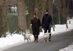 Huizen 11 januari 2026
Linda de Mol en haar partner Jeroen Rietbergen laten in een koud Huizen hun twee honden uit . Ze zijn beide warm aangekleed .