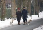 Huizen 11 januari 2026
Linda de Mol en haar partner Jeroen Rietbergen laten in een koud Huizen hun twee honden uit . Ze zijn beide warm aangekleed .