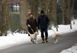Huizen 11 januari 2026
Linda de Mol en haar partner Jeroen Rietbergen laten in een koud Huizen hun twee honden uit . Ze zijn beide warm aangekleed .