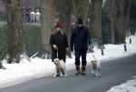 Huizen 11 januari 2026
Linda de Mol en haar partner Jeroen Rietbergen laten in een koud Huizen hun twee honden uit . Ze zijn beide warm aangekleed .