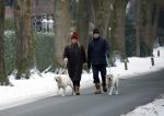 Huizen 11 januari 2026
Linda de Mol en haar partner Jeroen Rietbergen laten in een koud Huizen hun twee honden uit . Ze zijn beide warm aangekleed .