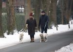 Huizen 11 januari 2026
Linda de Mol en haar partner Jeroen Rietbergen laten in een koud Huizen hun twee honden uit . Ze zijn beide warm aangekleed .