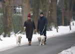 Huizen 11 januari 2026
Linda de Mol en haar partner Jeroen Rietbergen laten in een koud Huizen hun twee honden uit . Ze zijn beide warm aangekleed .
