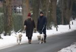 Huizen 11 januari 2026
Linda de Mol en haar partner Jeroen Rietbergen laten in een koud Huizen hun twee honden uit . Ze zijn beide warm aangekleed .