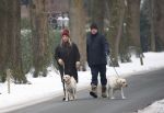 Huizen 11 januari 2026
Linda de Mol en haar partner Jeroen Rietbergen laten in een koud Huizen hun twee honden uit . Ze zijn beide warm aangekleed .