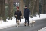 Huizen 11 januari 2026
Linda de Mol en haar partner Jeroen Rietbergen laten in een koud Huizen hun twee honden uit . Ze zijn beide warm aangekleed .