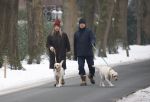 Huizen 11 januari 2026
Linda de Mol en haar partner Jeroen Rietbergen laten in een koud Huizen hun twee honden uit . Ze zijn beide warm aangekleed .