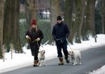 Huizen 11 januari 2026
Linda de Mol en haar partner Jeroen Rietbergen laten in een koud Huizen hun twee honden uit . Ze zijn beide warm aangekleed .