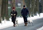 Huizen 11 januari 2026
Linda de Mol en haar partner Jeroen Rietbergen laten in een koud Huizen hun twee honden uit . Ze zijn beide warm aangekleed .