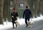Huizen 11 januari 2026
Linda de Mol en haar partner Jeroen Rietbergen laten in een koud Huizen hun twee honden uit . Ze zijn beide warm aangekleed .