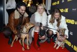 Amsterdam 6 januari 2025
Premiere Hond en ik in het vondelparkpaviljoen . Roxanne Kwant kwam met haar vriend