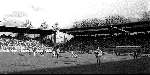 Amsterdam 7 Februari 1988
Kompetitiewedstrijd AJAX-PSV, eindstand 0-1
een gedeelte van de opbrengst eieren.
Het z.g. eierincident