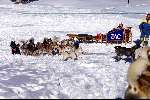 Spanje 26 December 1998
husky honden met slee in de sneeuw
wintersport