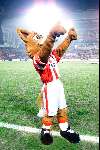PSV-Mascotte
18 Februari 1999