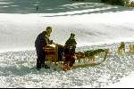 26 december 1998
in mooi sneeuwlandschap met slee voor husky-honden
