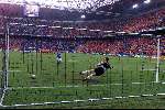 Amsterdam 29 juni 2000
Nederland-Italie 0-0 euro 2000
Edwin vd Sar tijdens penalties