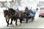 Lech 8 februari 2003
Wintersport sneeuw bergen trekpaarden
