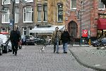 Amsterdam 5 februari 2005
Barry Hay met hondje en Babette Cremer en jan Cremer