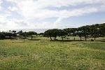 Portugal De algarve
Prachtige resort Vale do lobo met 2 x 18 holes golfcourses
de royal en de Ocean
